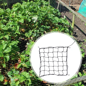 אלסטי רשת נשלפת עם וו תמיכה ציוד לחוץ סניף רשת תמיכה צמחים מתיחה עבור גן גדר